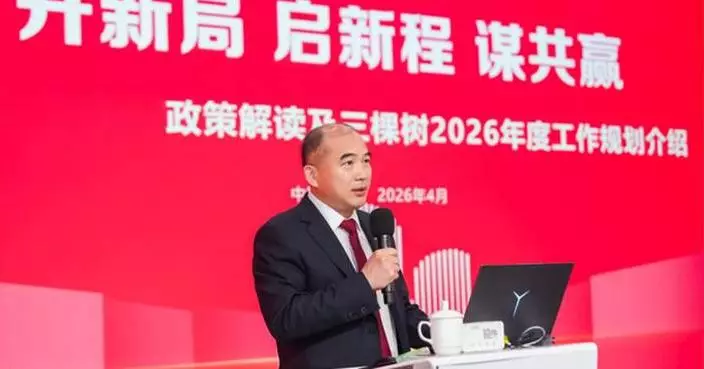 3Trees Ranked No. 1 Globally by 2025 Stone Paint Sales Volume, Advancing International Strategy