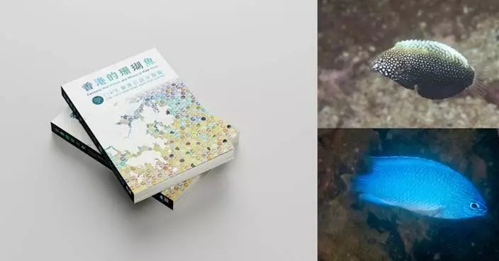 Fantastic Reef Fishes and Where to Find Them:  A New Field Guide Celebrates and Documents Hong Kong’s Reef Fish Diversity with 422 Species