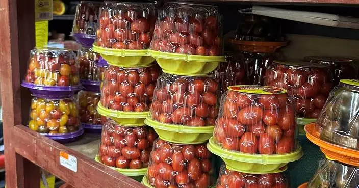 Tomatoes become latest symbol of America’s affordability squeeze