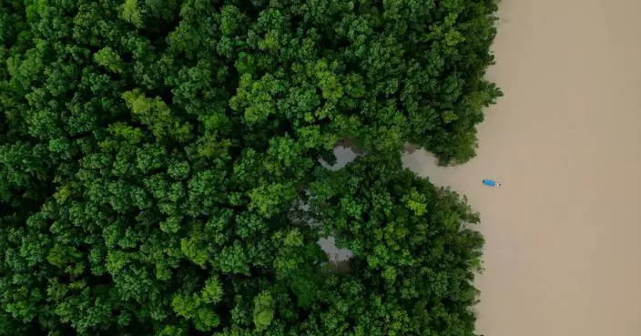 Brazilian government commits $617.5M to Amazon ecological investment