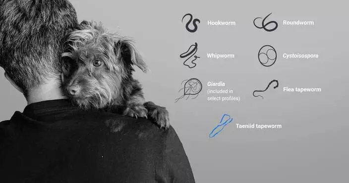 IDEXX Expands Fecal Dx Antigen Testing Platform with Taeniid Tapeworm Detection