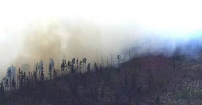 Small medical plane crashes in New Mexico mountains, killing all 4 people aboard