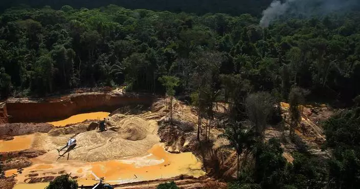 Indigenous Amazon groups urge the UN to curb organized crime, not militarize territories