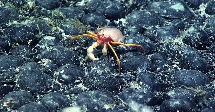 Companies join a deep-sea mining rush after Trump executive order, as regulators fast-track permits