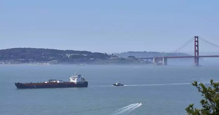 A new whale detection network launches in San Francisco Bay, alerting ships in real time