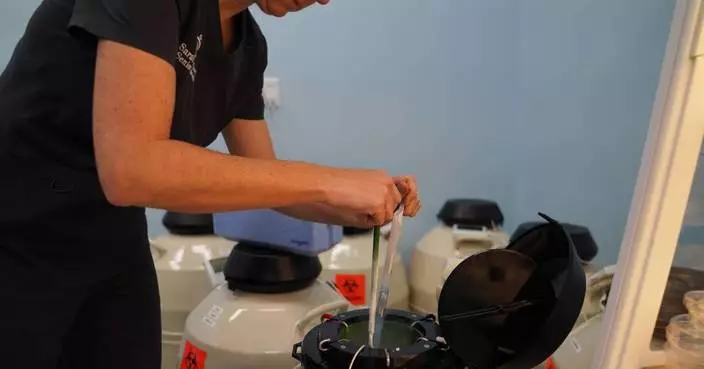 Takeaways from AP’s profile of a Christian IVF doctor