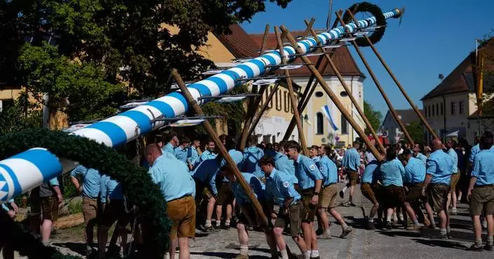 Beer, music and shouts of ‘Hau-Ruck’ as a Bavarian village raises its new maypole