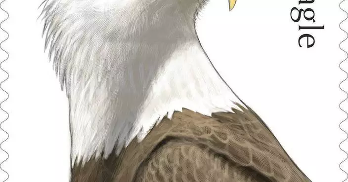 Postal Service releases special edition bald eagle stamps for America’s 250th