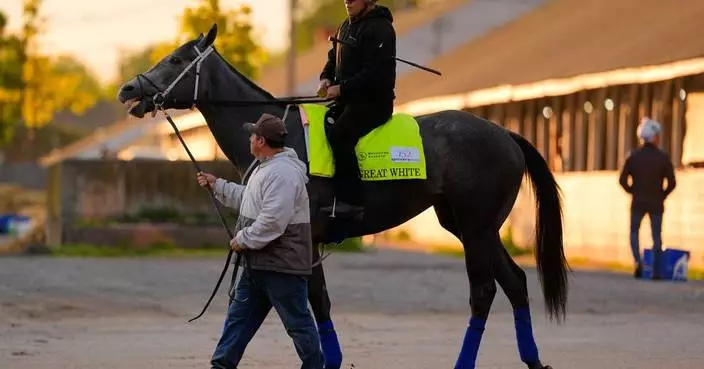 Great White a late scratch from the Kentucky Derby after flipping and throwing his jockey