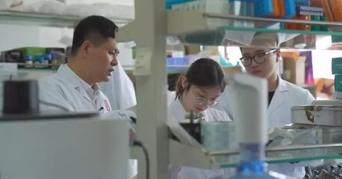 Experts hail Xi’s call to boost basic research