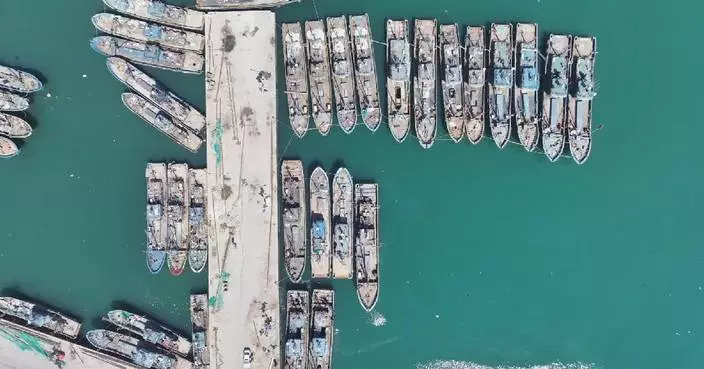 Summer fishing ban takes effect in four seas of China