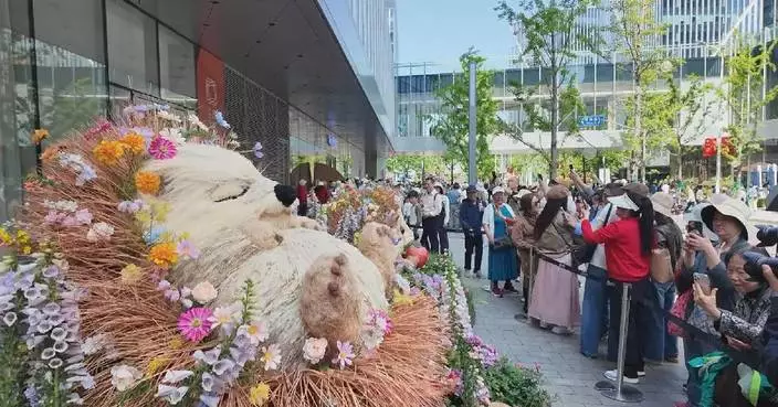 Shanghai Int'l Flower Show uplifts city shopping experience during Labor Day holiday