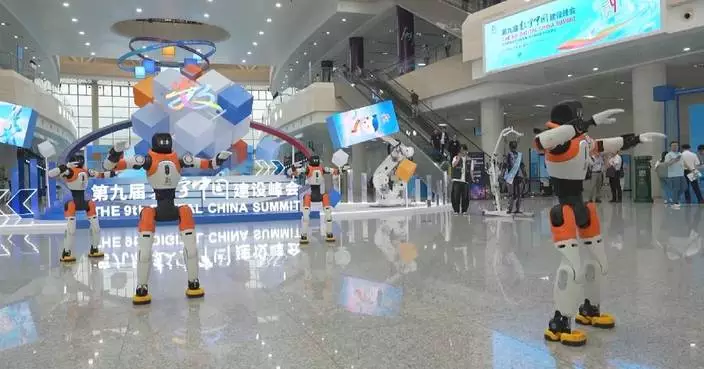 Versatile robot assistants steal the show at Digital China Summit in Fuzhou