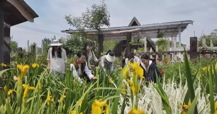 China's rural tourism maintains robust growth driven by new industries, business models: official