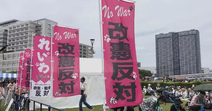 Tens of thousands of Japanese rally in Tokyo to defend pacifist constitution