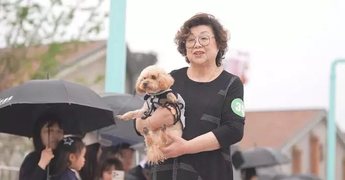 Pet models show off their stylish outfits at fashion week in Jiaxing