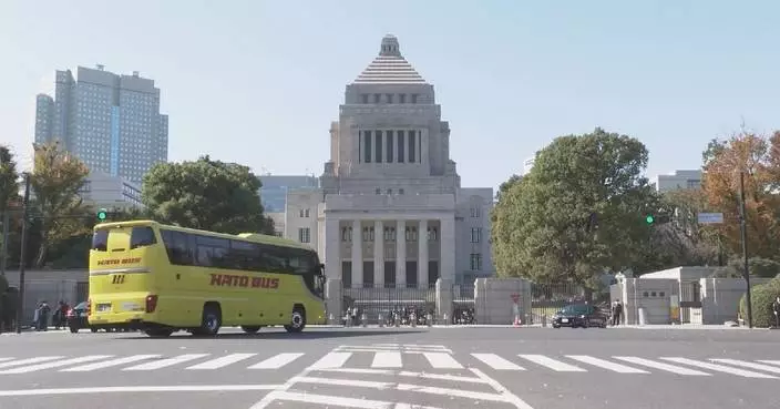 Japan should adhere to pacifist constitution: scholar