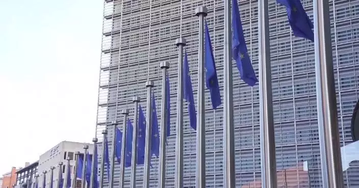 EU urges U.S. to reinstate trade deal tariffs