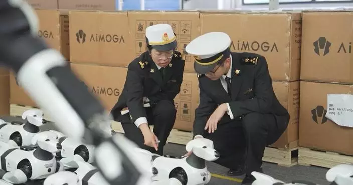 China’s robot export off to good start in January-March