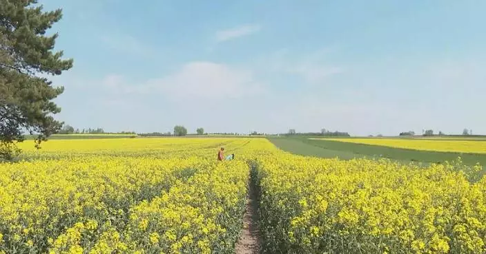 Polish farmers face soaring operating costs as impact of Iran war hits agriculture sector