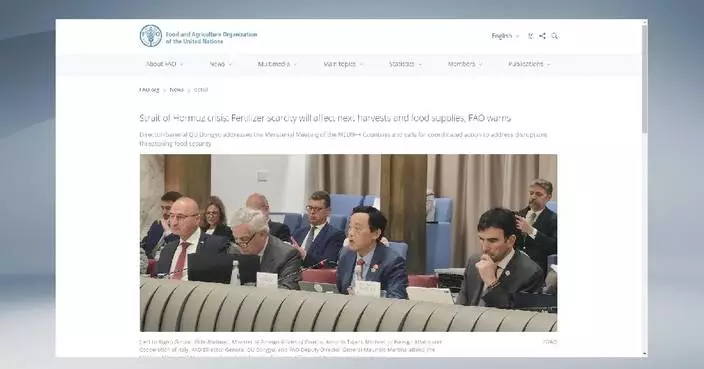 Hormuz tensions threaten global food supplies: FAO