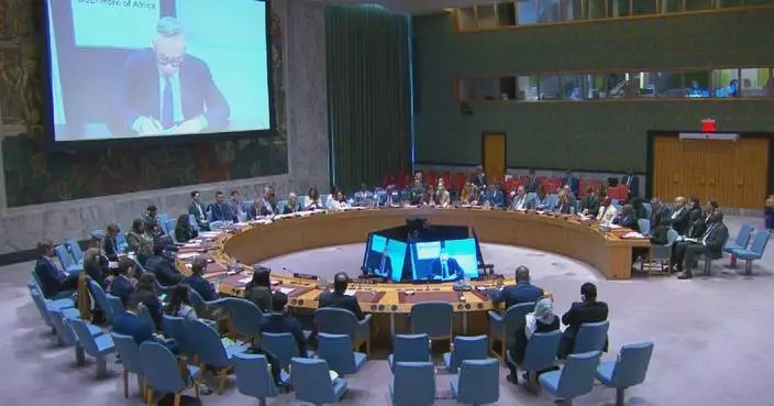 UN Security Council reviews peace, stability efforts in Abyei