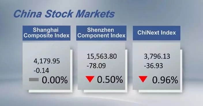 Chinese shares close lower Friday