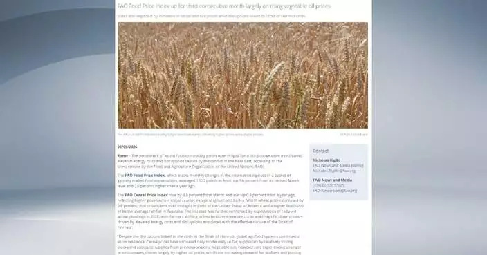 World food prices rise for third consecutive month
