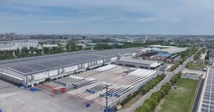 China's complete industrial chains contribute to new energy product exports: data