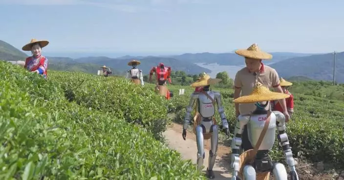 Humanoid robots engage in full tea-making process