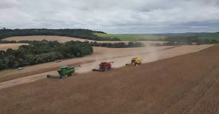 Brazilian soybean farmers reap rewards amid US-China trade disputes