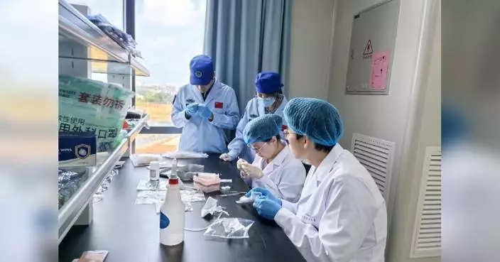 Tianzhou-10 sends zebrafish embryos, cells to space station for scientific research