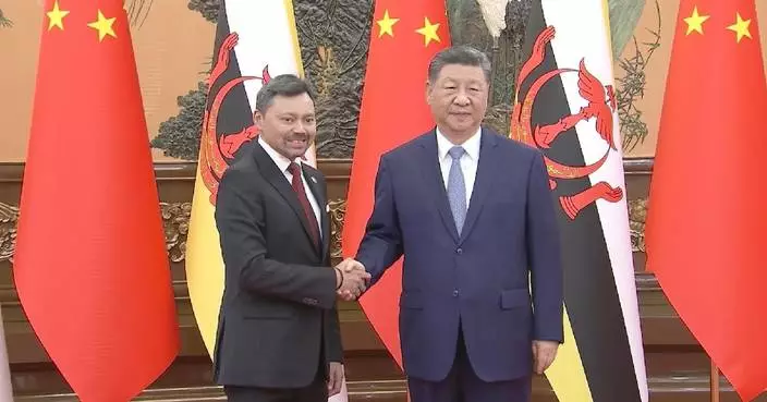 Xi meets Brunei’s crown prince, calling for new chapter in bilateral relations