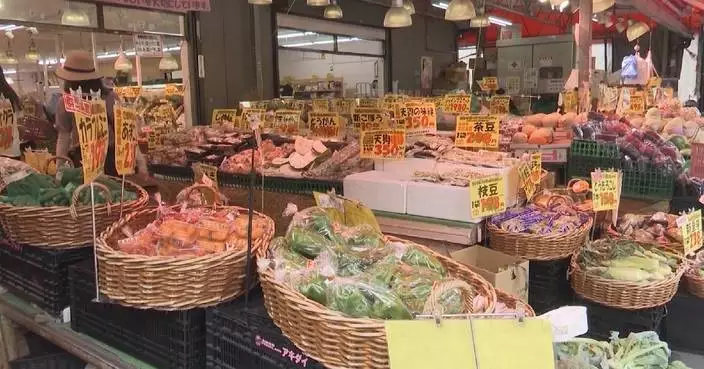 Japan’s household spending drops 2.9 pct in March