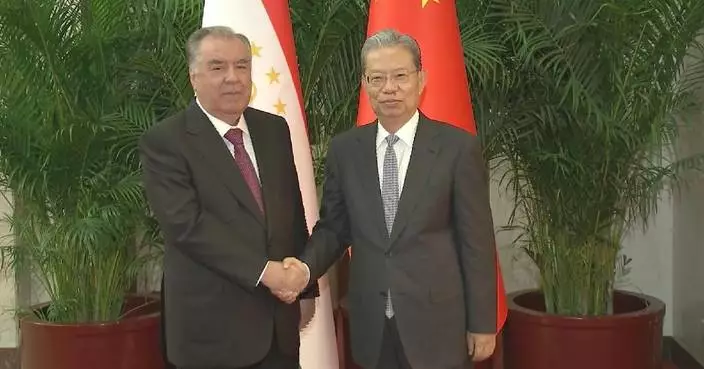 China's top legislator meets Tajik president