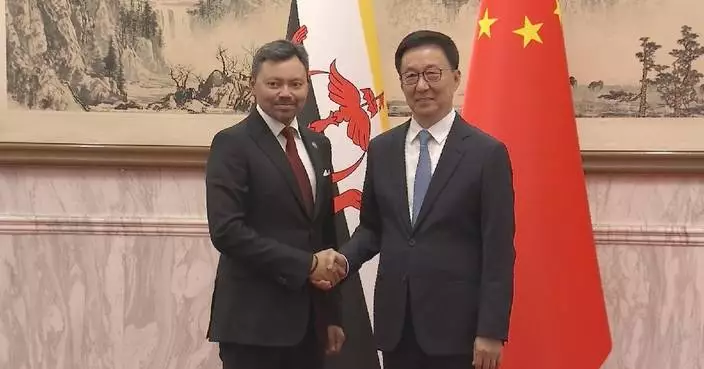Chinese vice president holds talks with Brunei’s crown prince