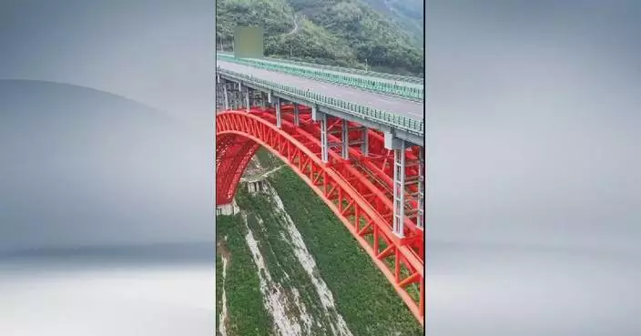 US influencer impressed by decades-long canal dream in rural China