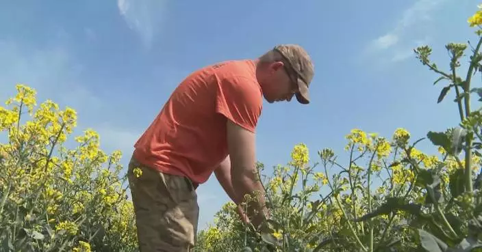 Polish farmers grappling with soaring fertilizer prices as Iran war bites