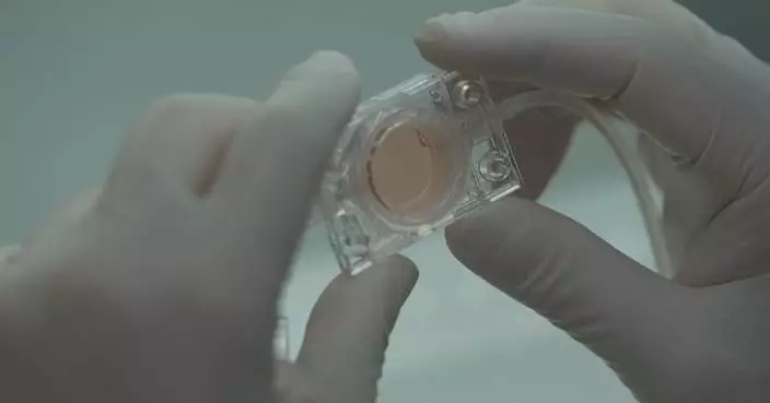 Artificial embryo samples aboard Tiangong Space Station for life science research