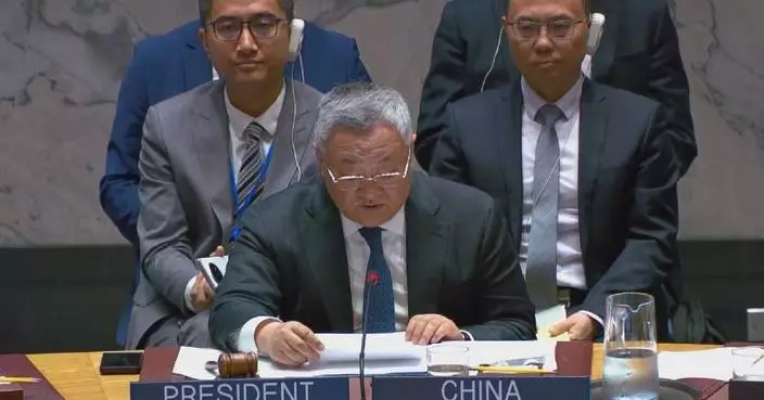 Chinese envoy urges advancing political transition in Syria