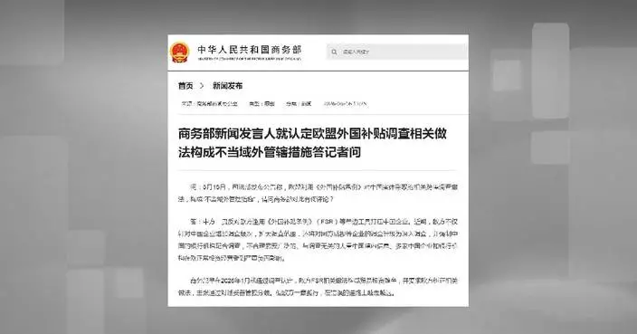China urges EU to stop abusing foreign subsidies probe tools