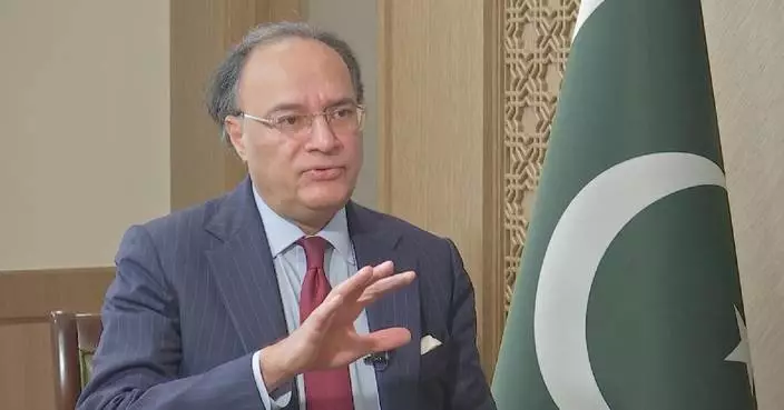 Pakistani finance minister on issuing panda bonds in China