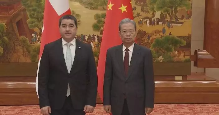 China’s top legislator holds talks with Georgian parliament speaker on relations