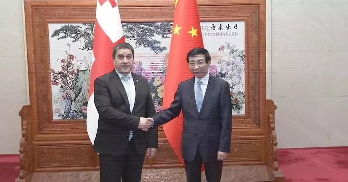 China’s top political advisor meets Georgian parliament speaker