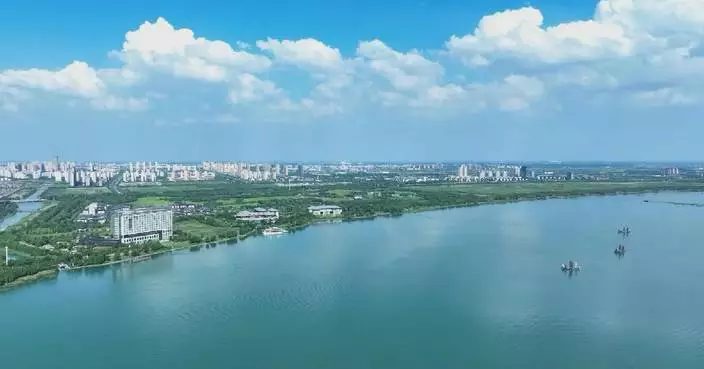 China forges ahead with ecological conservation, green development
