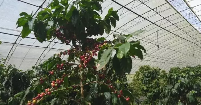 Fresh fruits thrive on world’s highest plateau with modern tech
