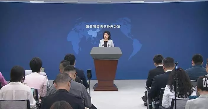 DPP authorities only disgrace themselves by hyping up Taiwan question at WHA: spokeswoman