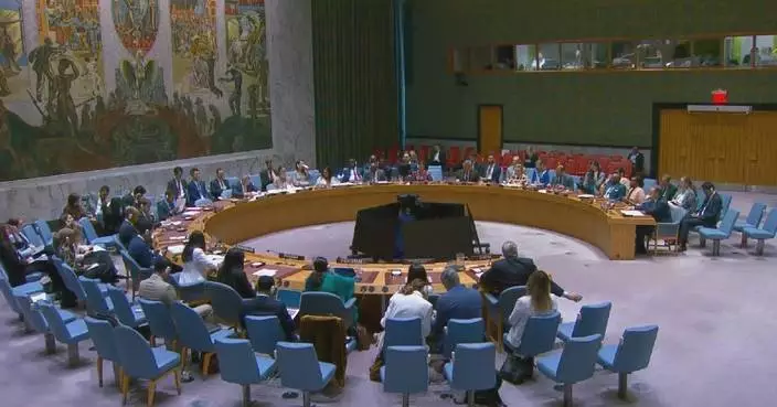 UN Security Council calls on all parties to conflict to protect civilians