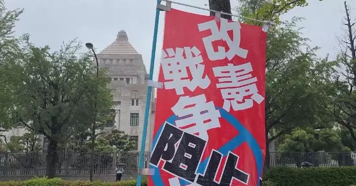 Tokyo rally protests constitutional revision, military expansion