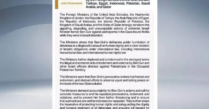 Eight Arab, Islamic countries condemn Israel’s treatment of Gaza flotilla activists